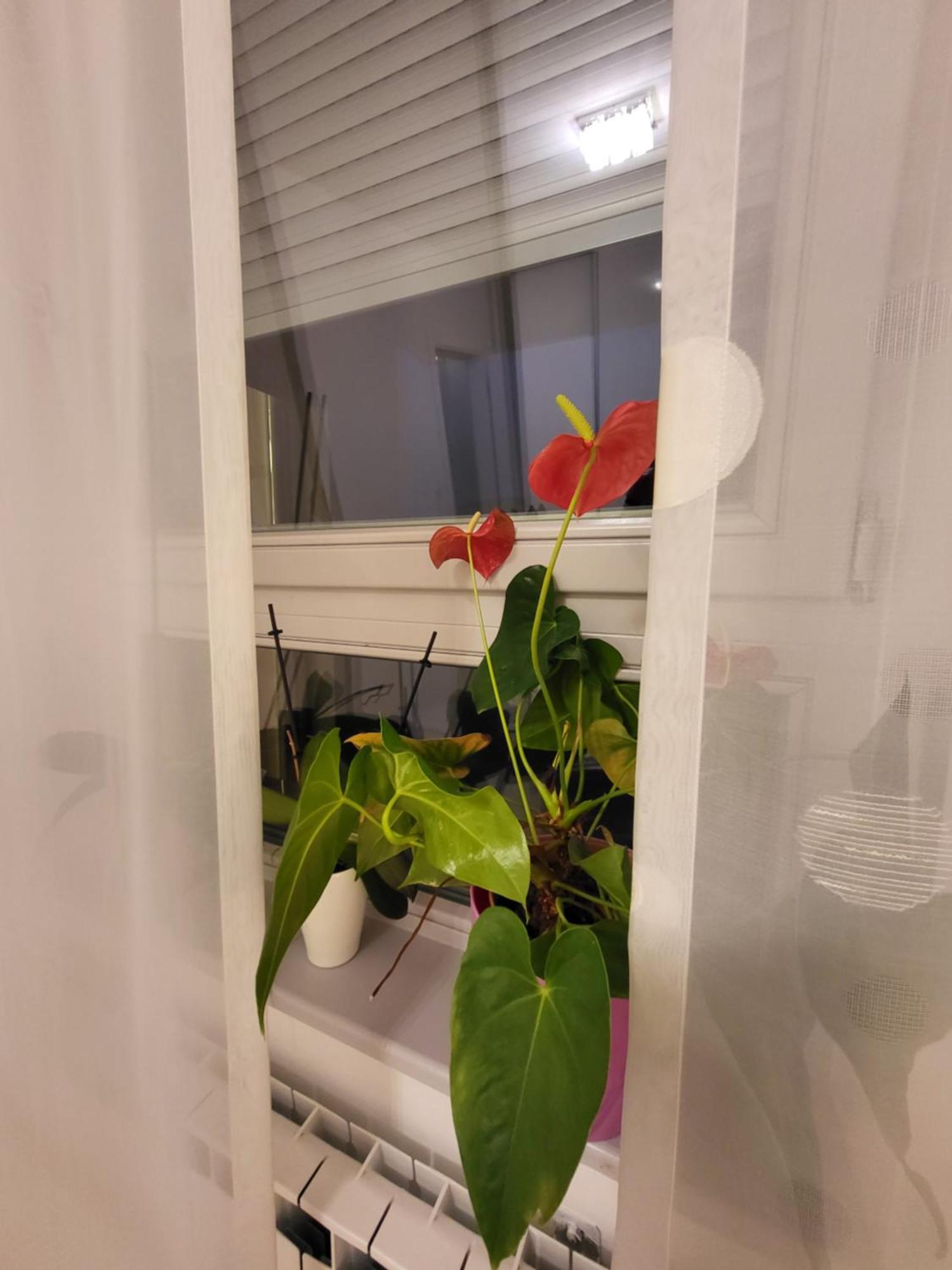 Apartman Jarun Lake Lux Ζάγκρεμπ Εξωτερικό φωτογραφία