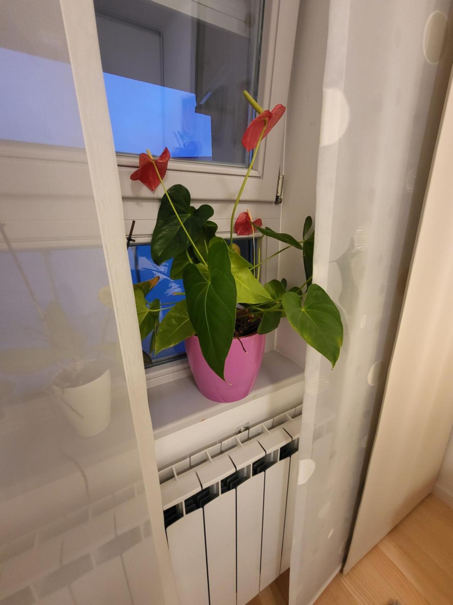 Apartman Jarun Lake Lux Ζάγκρεμπ Εξωτερικό φωτογραφία